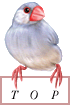 �擪��